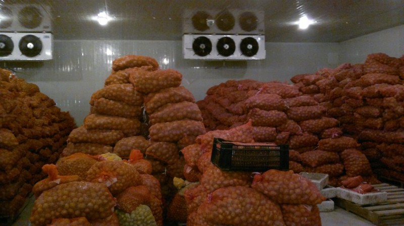 Kho lạnh bảo quản khoai tây giống Bắc Giang