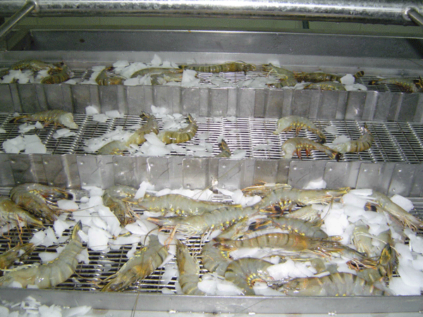 Kho lạnh bảo quản thủy hải sản