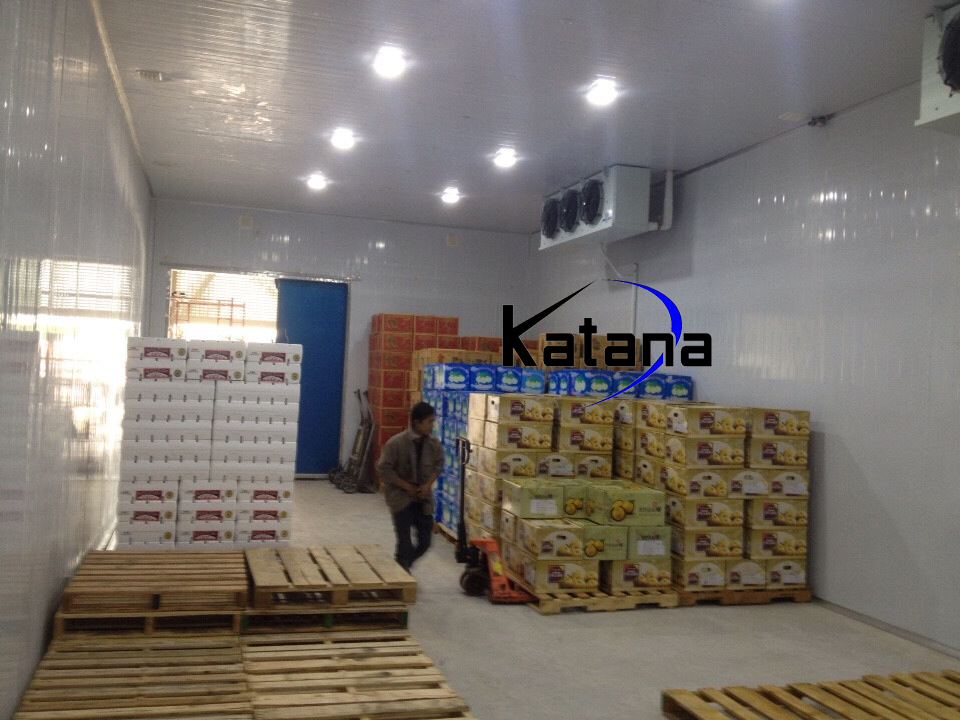 Những công dụng tuyệt vời kho lạnh bảo quản trái cây - Cơ điện Katana