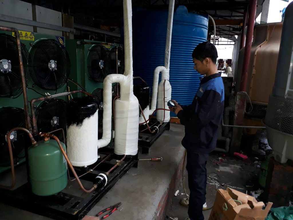 Lắp đặt hệ thống kho lạnh cấp đông và kho lạnh bảo quản thủy hải sản tại Hà Cối, Quảng Ninh